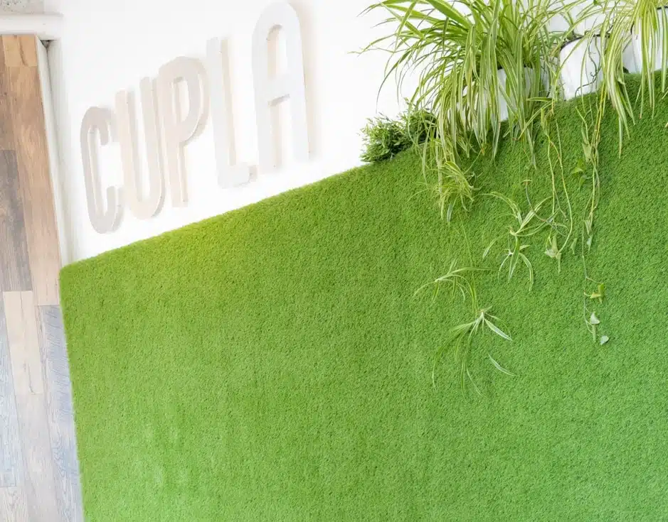 Cupla Coffee logo featured on green carpeted wall with plants at our Park City coffee shop