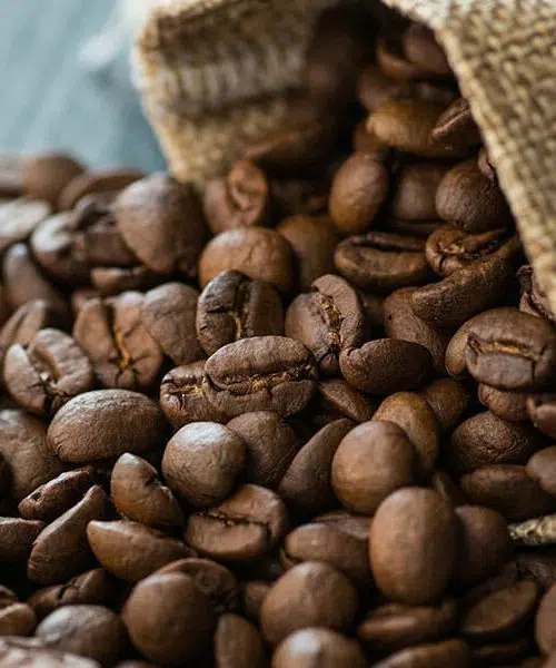 Freshly roasted organic fair trade coffee beans - Salt Lake City and Park City coffee shop roasters - Cupla Coffee