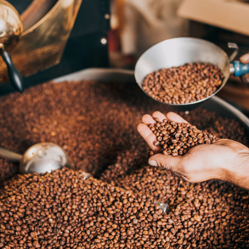 The history of coffee reflected through freshly roasted beans being hand-inspected in a small-batch roaster—symbolizing the craft and care behind Cupla Coffee
