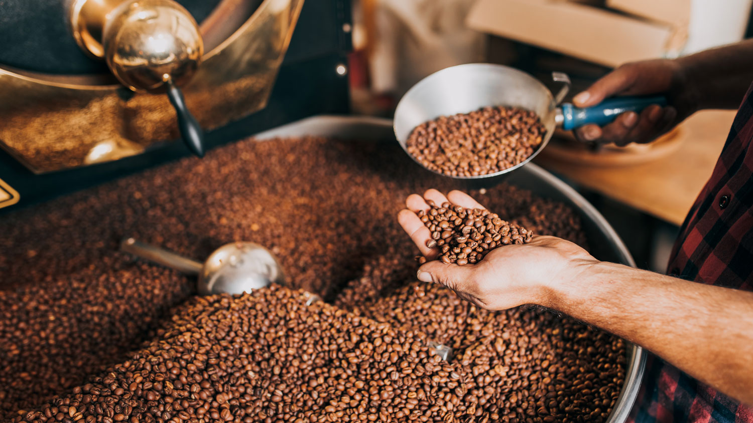History of Coffee: A Brew-tiful Journey