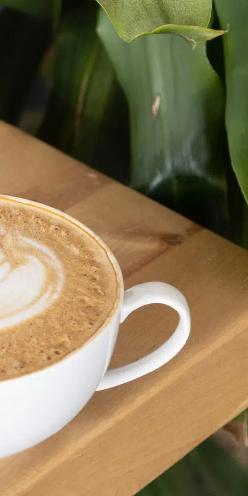 High-altitude roasted latte from Cupla Coffee in Park City, Utah, served fresh with organic, fair-trade beans.